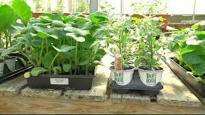 Maybe you would like to learn more about one of these? Van Putte Gardens Garden Center Landscape Rochester Ny