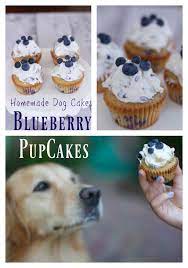 Blueberry Dog Cupcake Recipe Blueberry Muffins For Dogs Recipe Dog Biscuit Recipes Dog Cake Recipes Cupcakes For Dogs Recipe