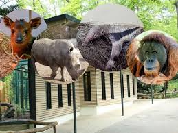 Zoo Dortmund Alarm Wegen Coronavirus Wie Man Tieren Jetzt Helfen Kann Dortmund