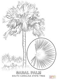 South carolina flag coloring sheets. South Carolina Coloring Pages Coloring Home