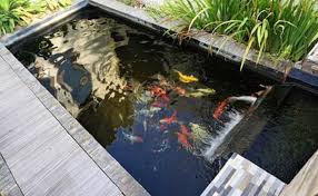 6 Jenis Kolam Air Minimalis Yang Dapat Bikin Rumah Tenang Okezone Economy