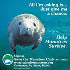 Save The Manatee Sign - | Manatee, Manatee Florida, Zoo Babies