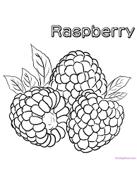 More 100 coloring pages from vegetables and fruits coloring pages category. Raspberry Coloring Raspberries Are The Fruit Of The Family Of Berries Which Have Very Beautiful Shapes And Fruit Coloring Pages Coloring Pages Coloring Books