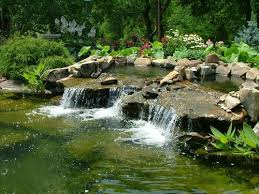 Discussion in 'general aquascaping and planted tank discussions' please discuss the techniques involved in creating a taiwanese aquascape, and feel free to share. Garden Pond By Meyer Aquascapes Pond Outdoor Projects Water Design