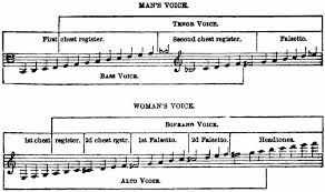 the project gutenberg ebook of voice production in singing