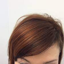Radico Color Me Organic Kasvivari Copper Brown Henna Hair Dyes Henna Hair Dyed Hair