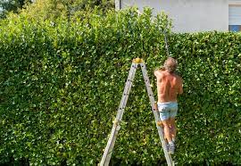 Schmal wachsende heckenpflanzen eignen sich als platzsparender sichtschutz. Hecke Als Larmschutz Kann Eine Hecke Gerausche Ausbremsen