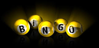 Résultat de recherche d'images pour "bingo"