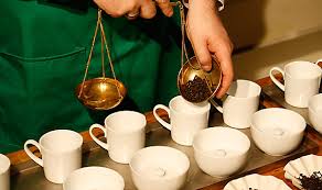 Alexander nakarada, mortifer v., art of silence, gothic storm, serge narcissoff. Tee Verkostungen Speicherstadtmuseum