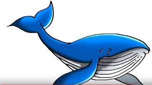 For this part, you will be working around the head and shoulders. How To Draw A Blue Whale Step By Step Easy Easy Animals To Draw