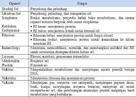Check spelling or type a new query. Struktur Sel Eukariotik Pada Hewan Dan Fungsinya