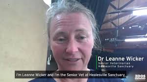 Bushfire update from Mallacoota