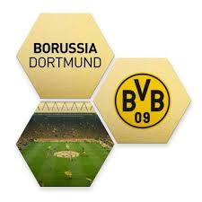 ✍️ steffen #tigges signs a professional contract with #bvb until 2024! Borussia Dortmund Fanshop Wandbilder Wandtattoos Fototapeten Borussia Dortmund Wall Art De