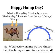 If you want to know how to say camel in spanish, you will find the translation here. Learn What Hump Day Means And Which Day Of The Week It Is What Is Hump Day English As A Second Language Hump Day Meaning