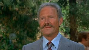 Fantasy Island" The Big Dipper/The Pirate (TV Episode 1978)