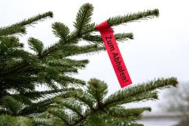 Die ersten städte sind grevenbroich, kaarst und meerbusch. Hechingen In Der Kernstadt Werden Weihnachtsbaume Abgeholt Hechingen Umgebung Schwarzwalder Bote