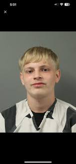 WILLIAMS, DAQUAN MONTEZ Charge: FEDERAL DETAINER POSSESS FIREARM INTENT TO  GO ARMED