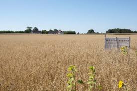 Skribent: Ida Willig