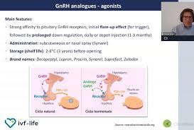 Image result for GnRH Stimulation Test