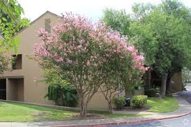 Maybe you would like to learn more about one of these? Apartments Under 600 In San Antonio Tx Apartments Com
