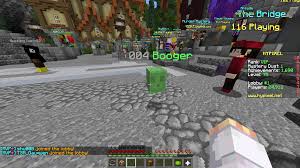 This would allow us to start considering 1.16+ features. Best Pet Names Hypixel Minecraft Server And Maps