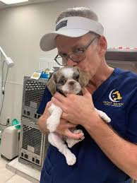 Will my pet have pain meds to take at home after surgery? Emergency Animal Hospital San Antonio Tx Night Watch