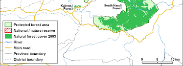 Image result for Landolphia eminiana