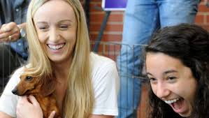 Gallery: Stress-busters during college finals