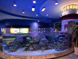 Cube Oceanarium Lighthouse Exhibit Public Aquarium Aquascape Aquarium Aquarium