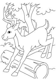 Free Printable Reindeer Coloring Pages In 2020 Deer Coloring Pages Coloring Pages Dinosaur Coloring Pages