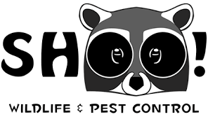 Animal & pest control specialist can help you make your home a haven for the entire family. Pest Wildlife Control Wildlife Damage Repair Colorado Springs Co Shoo Wildlife Pest Control