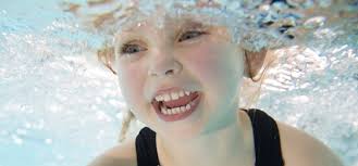 Angel Fish Swim School