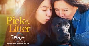 We are thrilled to share that the Pick of the Litter docuseries