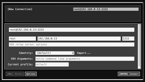 Because the connection is encrypted. How To Use The Chrome Browser Secure Shell App To Ssh Into Remote Devices Null Byte Wonderhowto