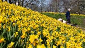Trust uk leading artificial flowers specialists decoflora. Flowers Bbc News