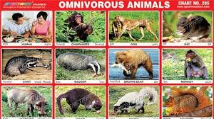 Animals That Eat Both Plants And Meat Animal Stickers Animals Omnivorous Animals