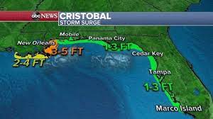 El junco has been the object of a study in which the sediments. Tropical Storm Cristobal Makes Landfall In Southeast Louisiana Abc News