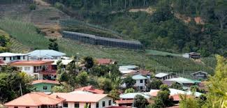 Ranau resident yusdy mohd rosle told the vibes he could barely feel the earthquakes, but the incident reminded him of the 2015 earthquake. Weak Earthquake Detected In Ranau Sabah
