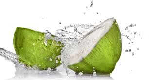 Image result for green coconuts