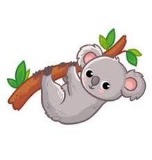 Koala Hangs On A Tree On A White Background Cute Koala Drawing Koala Illustration Bear Drawing
