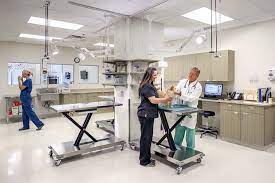 Welcome to north austin animal hospital! 24 Hour Emergency Vet Austin Specialty Animal Hospital Austin Veterinary Emergency Specialty