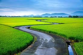 More than 400 products were considered for the product award. Yilan Taiwan Taiwan Travel Scenery Scenic