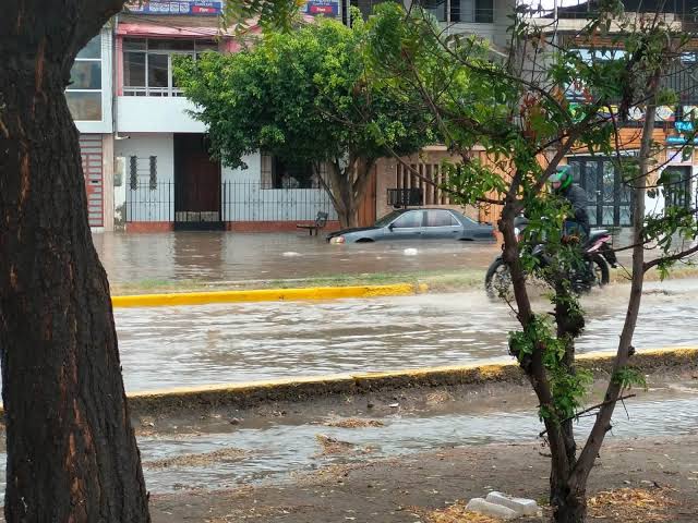🚨#Piura | La lluvia registrada esta mañana inundó, como es costumbre, varios tramos de la avenida José Aguilar Santisteban. Como se aprecia en las imágenes, algunos vehículos quedaron atrapados en med