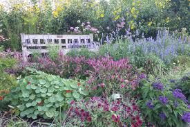 Места внутри matthaei botanical gardens. The University Of Michigan Matthaei Botanical Gardens And Nichols Arboretum American Horticultural Society
