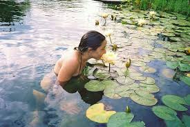 Natural Swim Ponds With Natural Boulders Splash Supply Company Splash Pool Diy Pond Pond