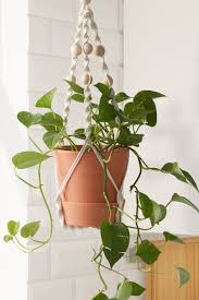 Click through and get started! Anvandbar Blumenampel Fur Topf Hangend Naturfarben Ikea Deutschland Blumen Ampel Pflanzenschaukel Hangepflanzen