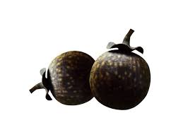 Image result for Vitex doniana