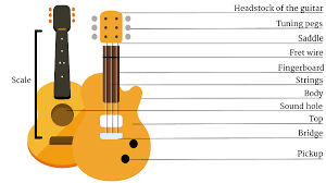 the architecture of a guitar from the guitar headstock and