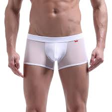 2020 popular 1 trends in underwear & sleepwears, novelty & special use, men's clothing, sports & entertainment with boxer hombres and 1. Eviayapjh Comprar Los Hombres Boxer Corto Ropa Interior Sexy Para De Nylon Spandex Pantalones Cortos Malla Transparente Comodo Hombre Shorts Bolsa Bulge Online Baratos