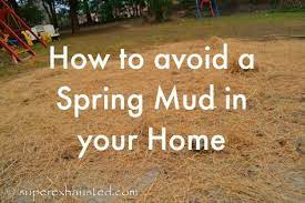 Www Superexhausted Com Dog Friendly Backyard Dog Backyard Backyard Landscaping